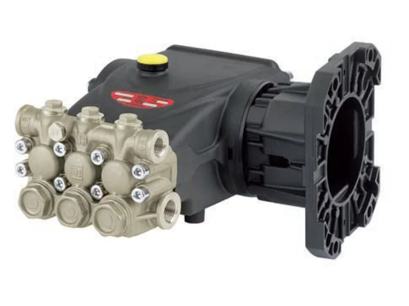 Помпа для бензиновых двигателей Interpump E3E2815 фото