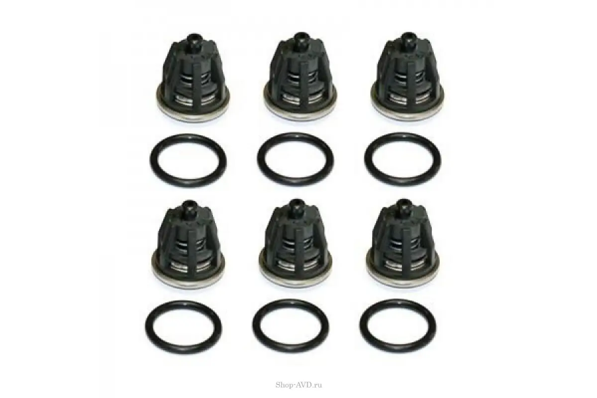 Комплект клапанов для Royal Press (17859) KIT 01 фото