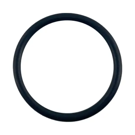 Каталог товаров Все Для Автомоек-Резиновое уплотнение цилиндра доз. системы D25RE5/D25RE10/D8R150 Резиновое уплотнение цилиндра доз. системы D25RE5/D25RE10/D8R150 фото