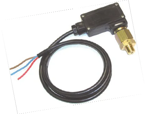 Датчик давления для АВД (черный), 40bar, 2,5 МПА, 1/4 внеш PA фото